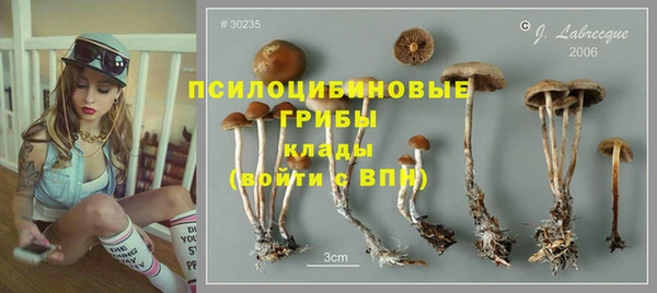 спайс Лихославль