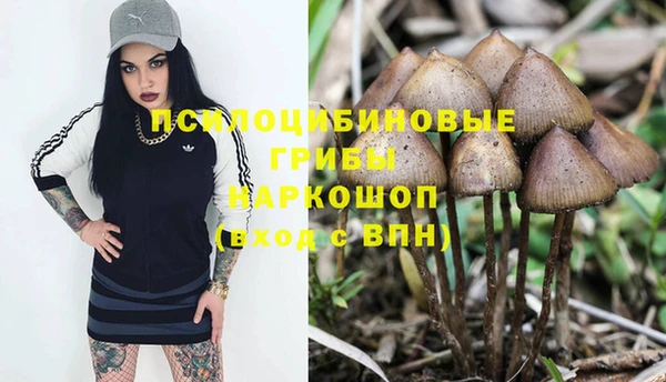 спайс Лихославль