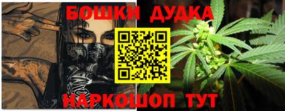 крисы Аргун