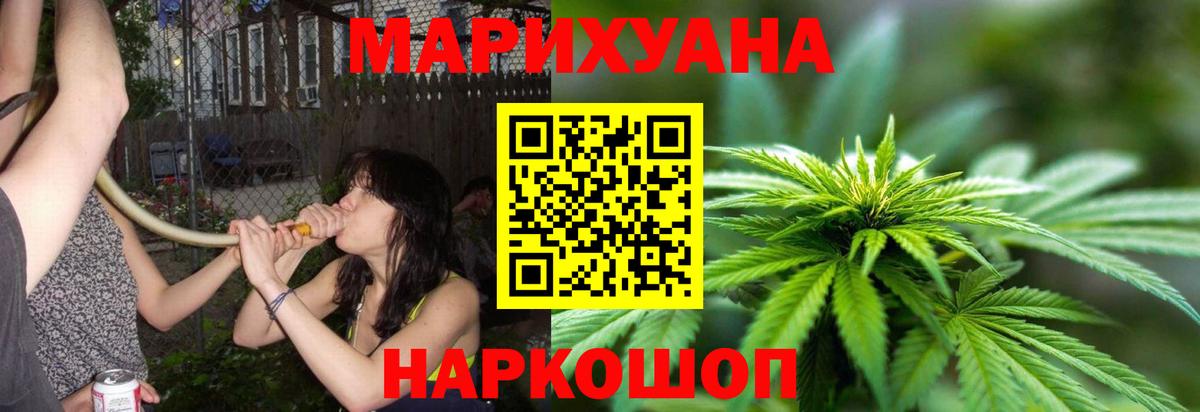 Марихуана план Новошахтинск